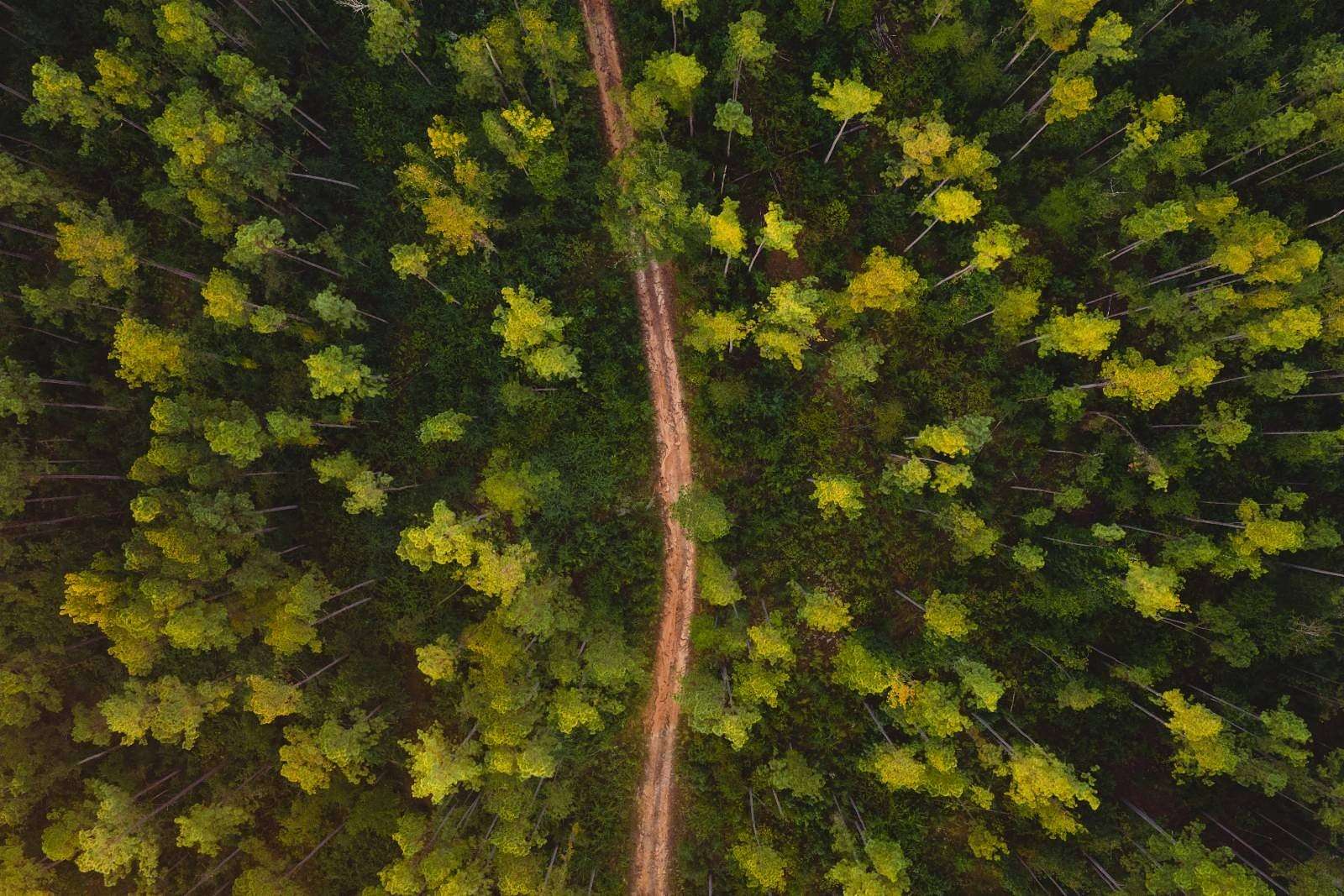 34.7 Acres of Recreational & Residential Land for Sale in Columbia, Mississippi