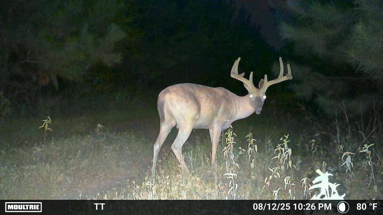 60 Acres of Recreational Land for Sale in Sparkman, Arkansas