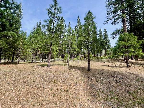 0.85 Acres of Land for Sale in Clio, California