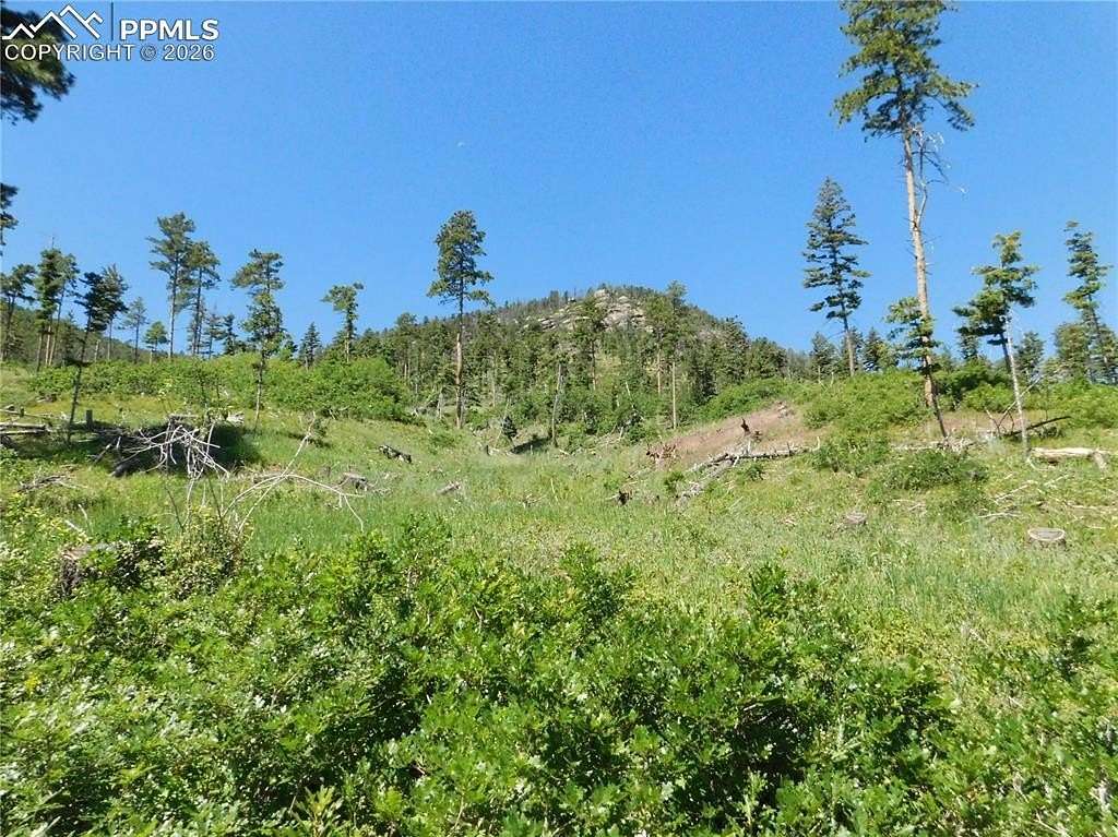 1 Acre of Land for Sale in Larkspur, Colorado