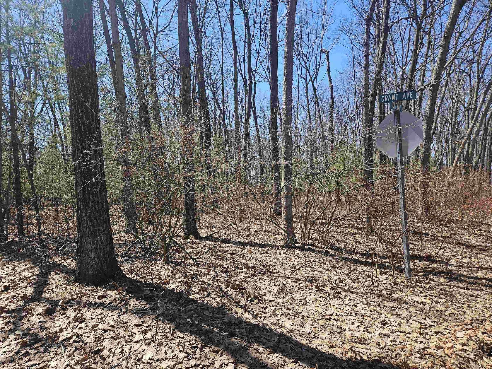 0.17 Acres of Residential Land for Sale in Harrison, Michigan