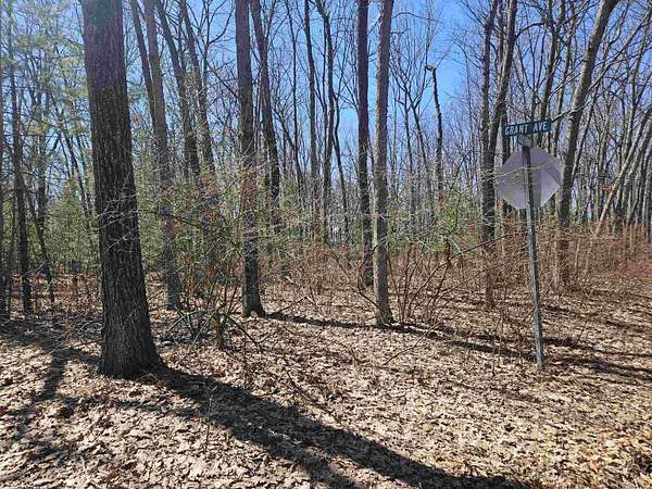 0.17 Acres of Residential Land for Sale in Harrison, Michigan