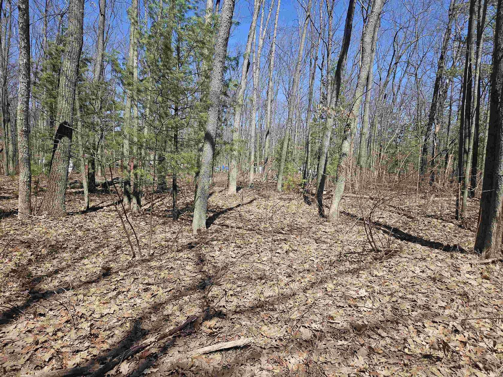 0.17 Acres of Residential Land for Sale in Harrison, Michigan
