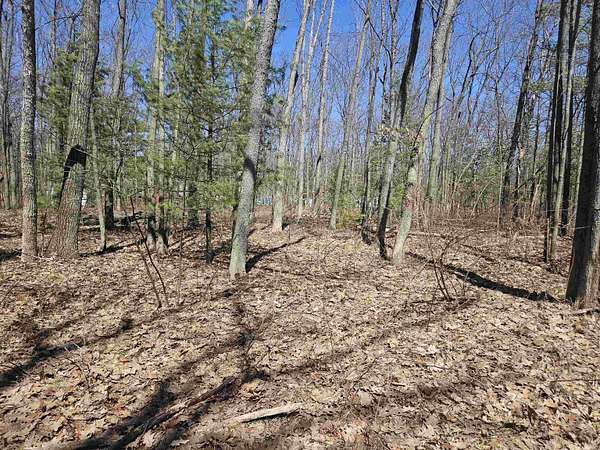 0.17 Acres of Residential Land for Sale in Harrison, Michigan