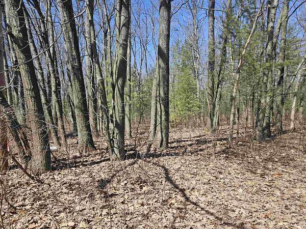 0.17 Acres of Residential Land for Sale in Harrison, Michigan