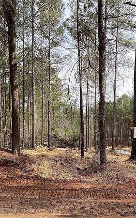 15.2 Acres of Land for Sale in Dallas, Georgia
