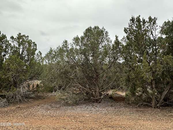 0.23 Acres of Residential Land for Sale in Show Low, Arizona