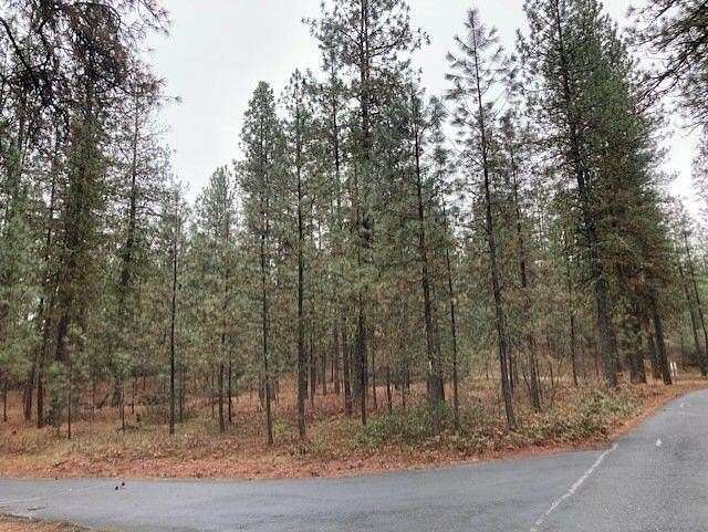 1.49 Acres of Land for Sale in Kettle Falls, Washington