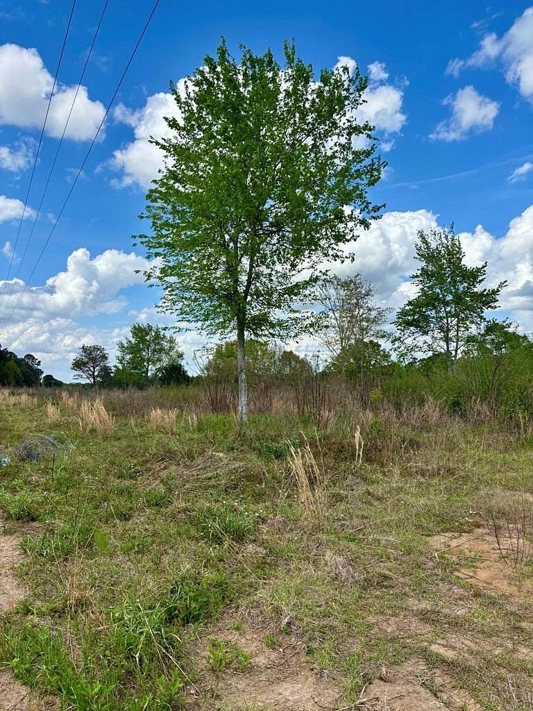 3 Acres of Land with Home for Sale in Dothan, Alabama