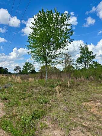 3 Acres of Land with Home for Sale in Dothan, Alabama