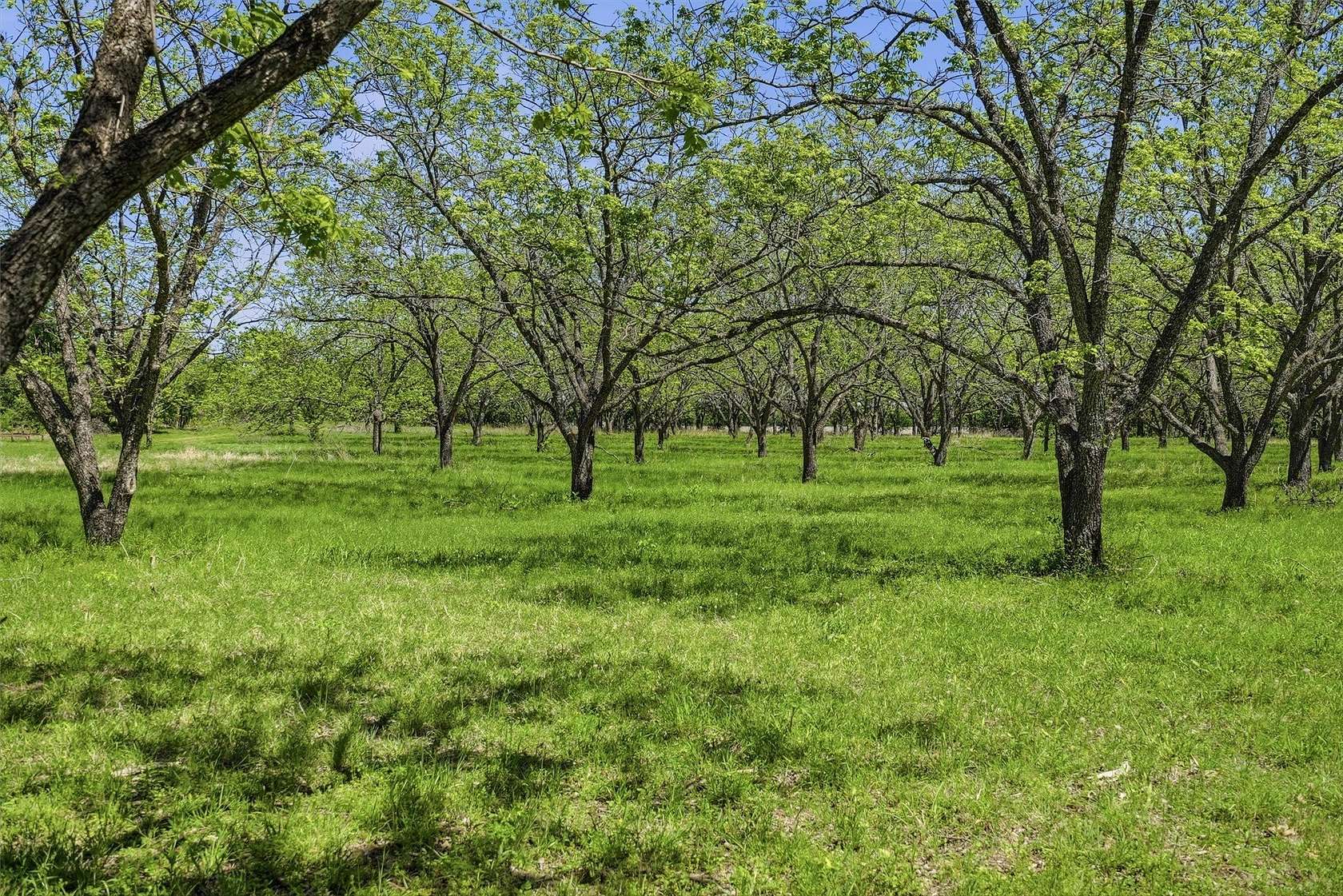 20 Acres of Land for Sale in Bluff Dale, Texas