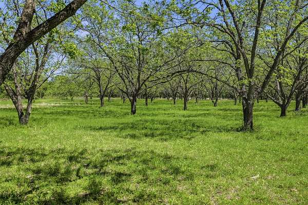 20 Acres of Land for Sale in Bluff Dale, Texas
