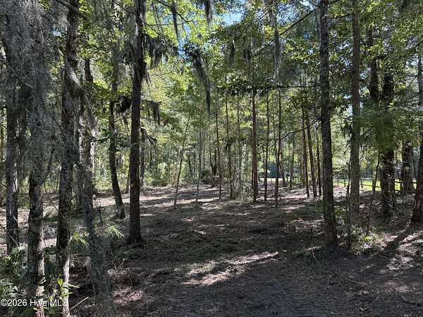 0.85 Acres of Residential Land for Sale in Belhaven, North Carolina
