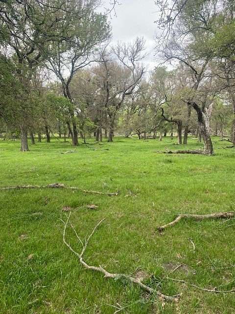100 Acres of Land with Home for Sale in Riesel, Texas