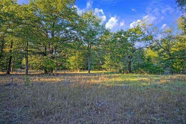 5 Acres of Residential Land for Sale in Teague, Texas