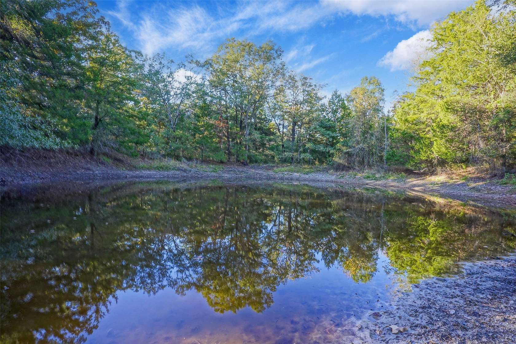 40 Acres of Recreational Land for Sale in Teague, Texas