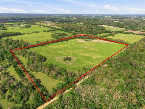 46.5 Acres of Recreational Land for Sale in Miller Grove, Texas