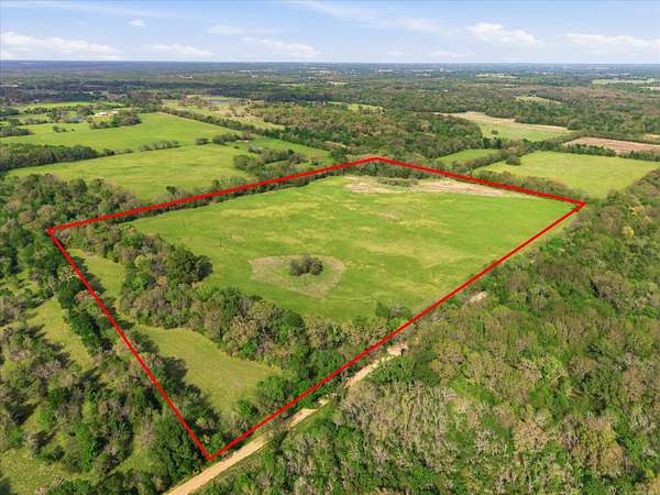 46.5 Acres of Land for Sale in Miller Grove, Texas