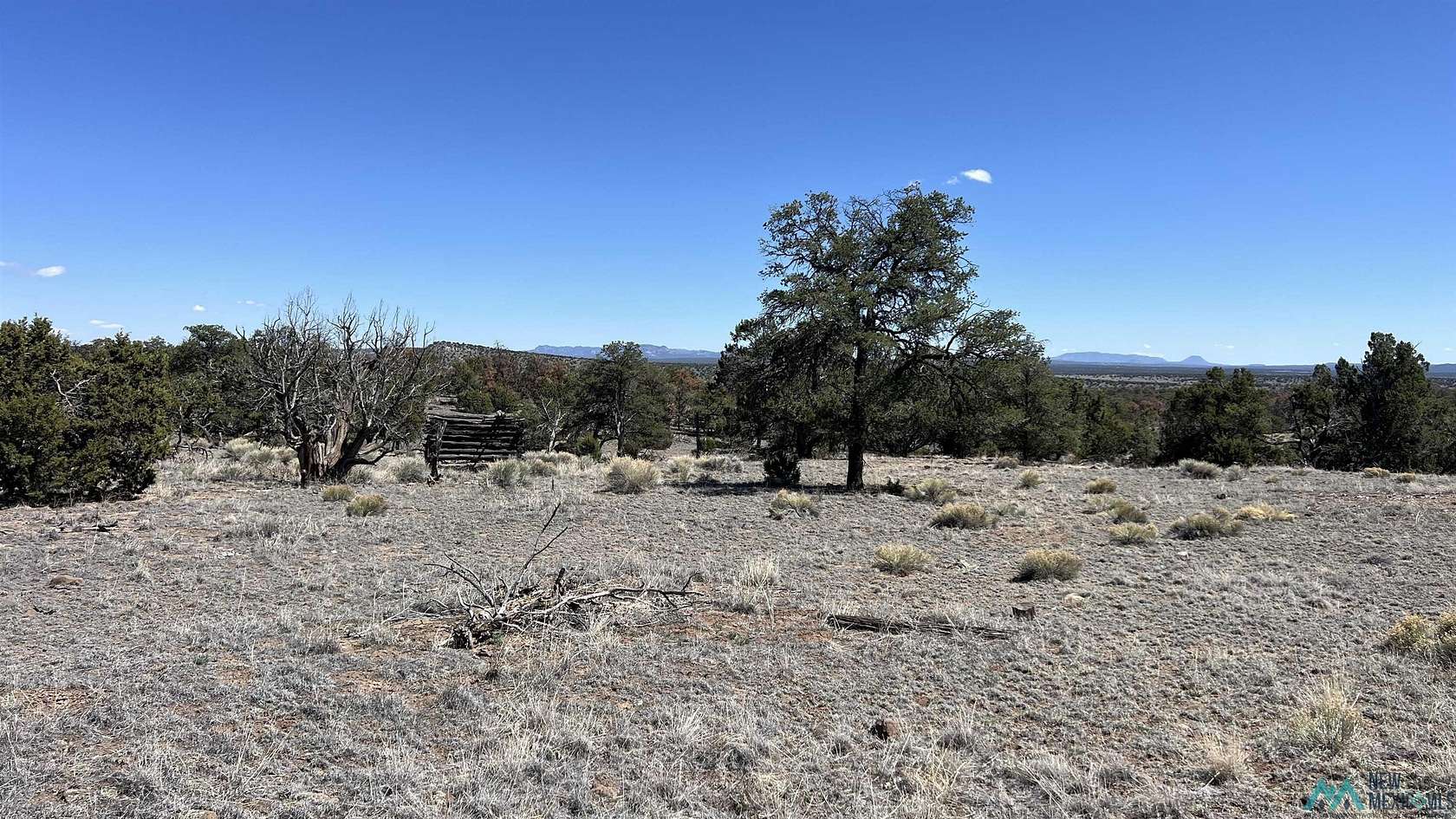 12.1 Acres of Recreational & Residential Land for Sale in Quemado, New Mexico