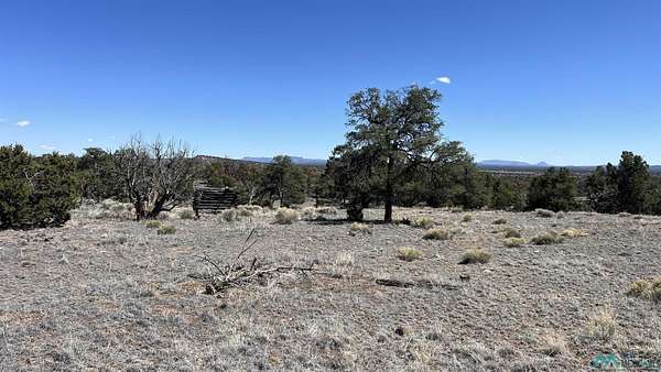 12.1 Acres of Recreational & Residential Land for Sale in Quemado, New Mexico