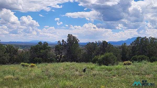 12.1 Acres of Recreational & Residential Land for Sale in Quemado, New Mexico