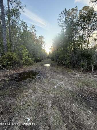 5 Acres of Residential Land for Sale in Moss Point, Mississippi