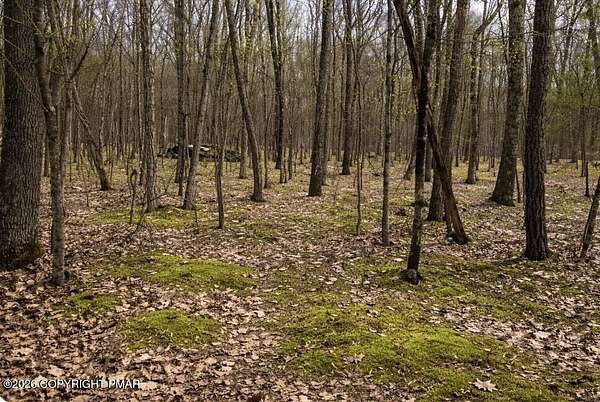 0.5 Acres of Residential Land for Sale in Hawley, Pennsylvania
