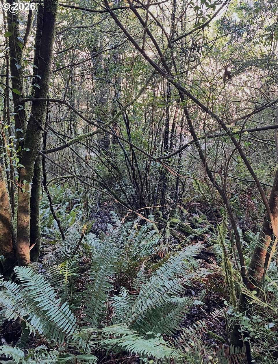 0.55 Acres of Land for Sale in Coquille, Oregon