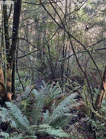 0.55 Acres of Land for Sale in Coquille, Oregon