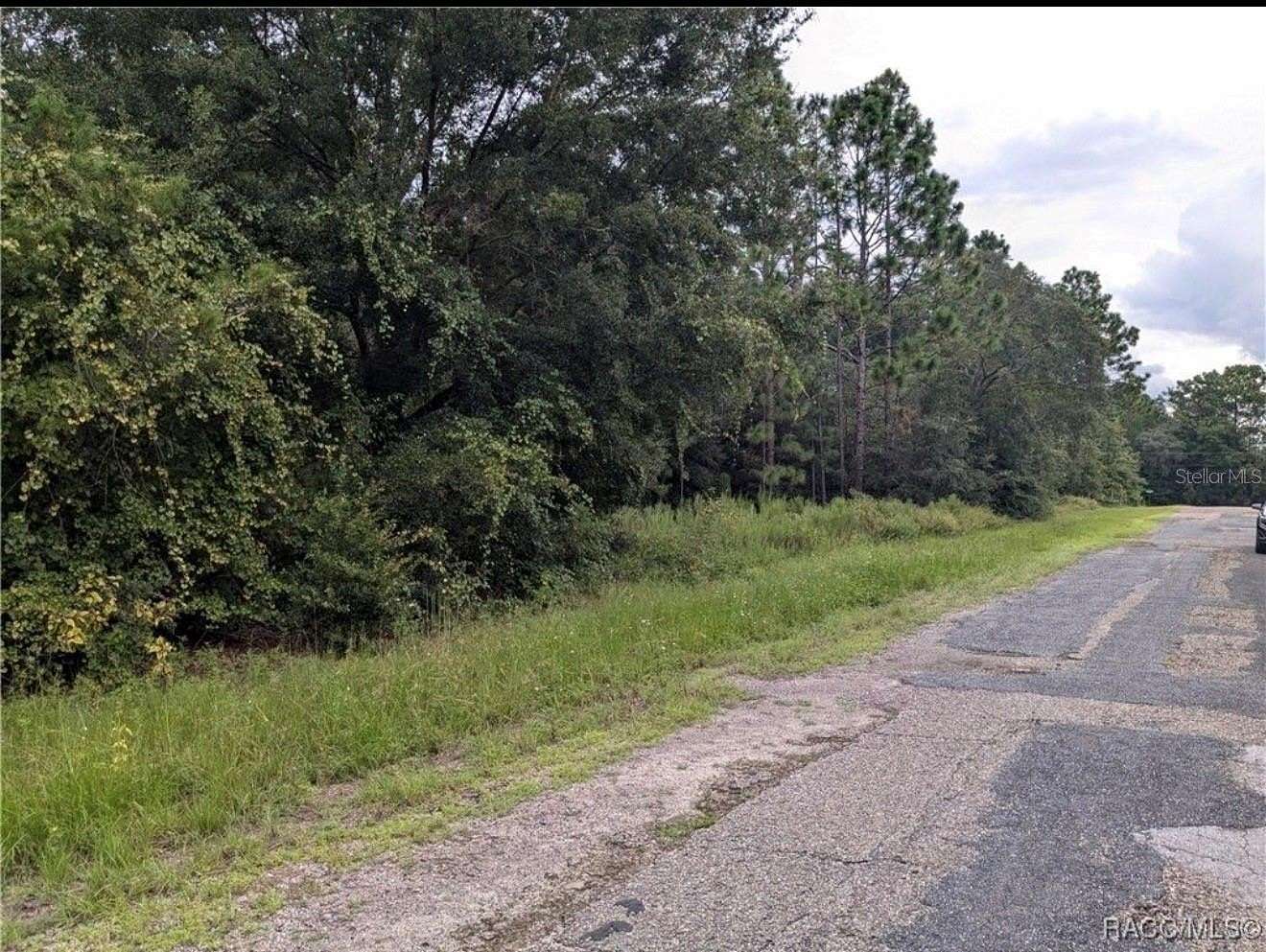 0.23 Acres of Residential Land for Sale in Citrus Springs, Florida