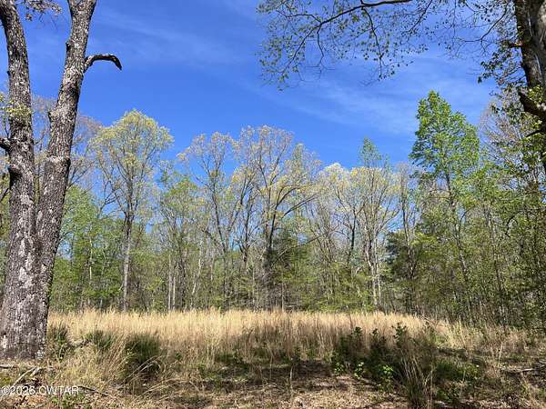 3.4 Acres of Residential Land for Sale in Cedar Grove, Tennessee