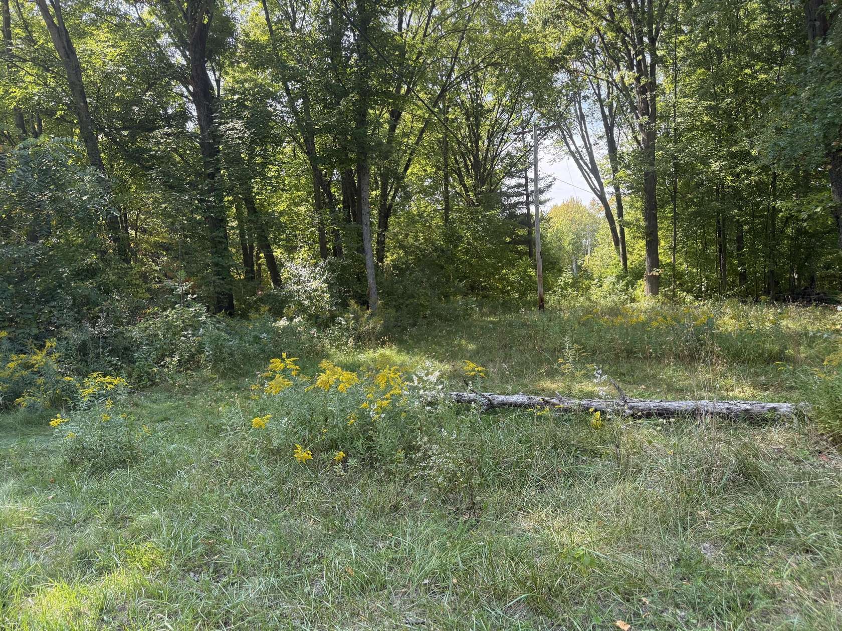 0.26 Acres of Land for Sale in Newaygo, Michigan