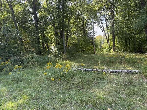 0.26 Acres of Land for Sale in Newaygo, Michigan