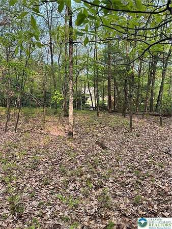 0.85 Acres of Residential Land for Sale in Pike Township, Pennsylvania