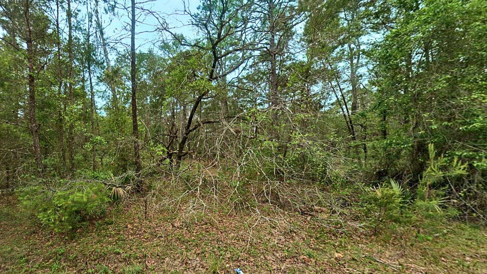 0.23 Acres of Residential Land for Sale in Satsuma, Florida