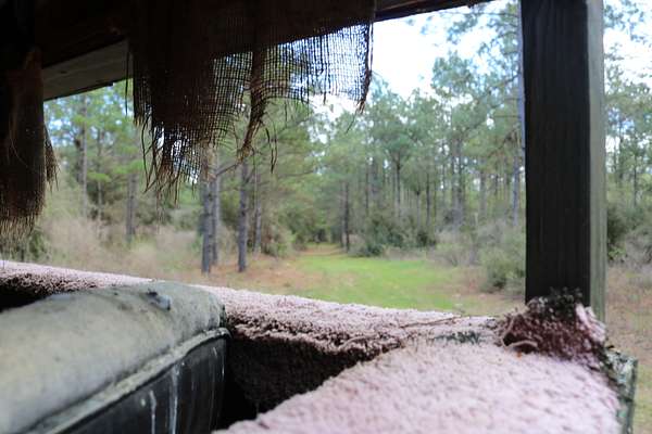 63 Acres of Recreational Land for Sale in Merryville, Louisiana