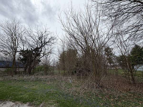 0.32 Acres of Residential Land for Sale in Homer, Illinois