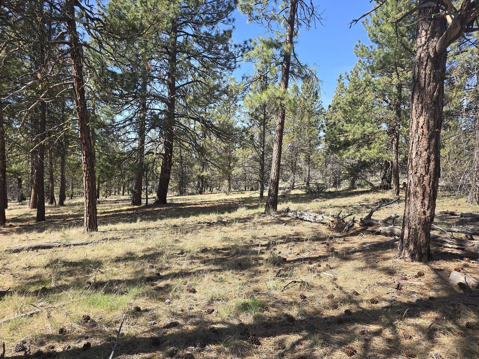 2.18 Acres of Residential Land for Sale in Bonanza, Oregon