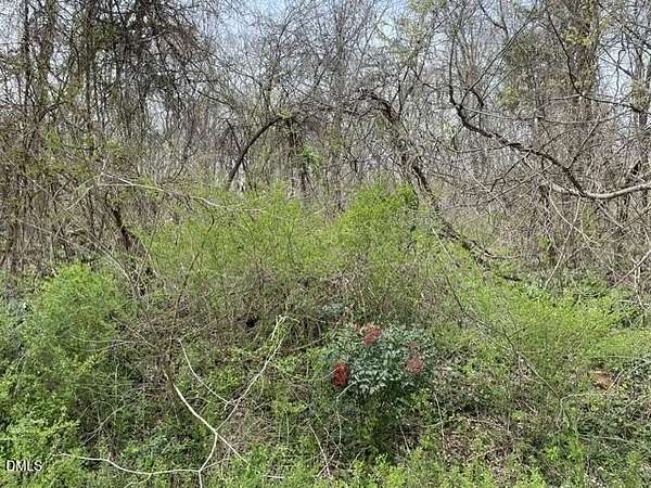 Land for Sale in Randleman, North Carolina