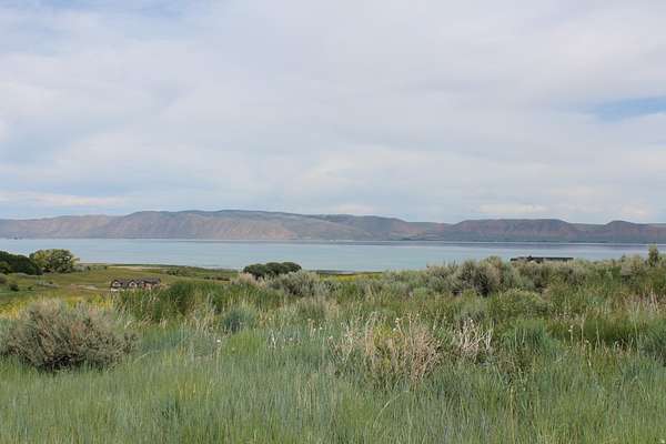 0.77 Acres of Land for Sale in Fish Haven, Idaho