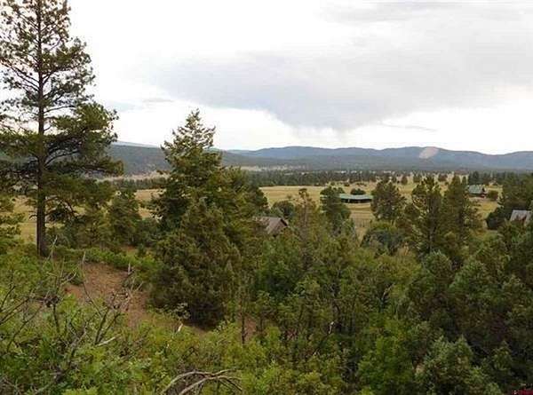 3.5 Acres of Residential Land for Sale in Pagosa Springs, Colorado