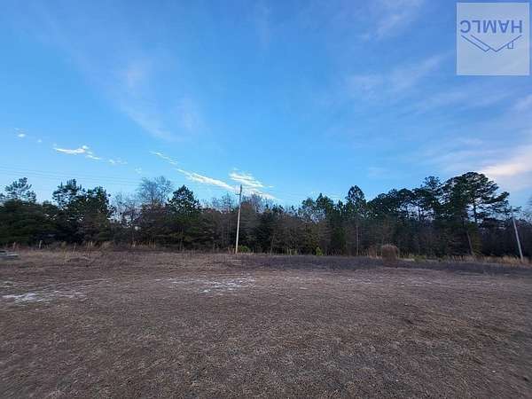 1.18 Acres of Commercial Land for Sale in Jesup, Georgia