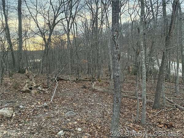 0.37 Acres of Residential Land for Sale in Village of Four Seasons, Missouri