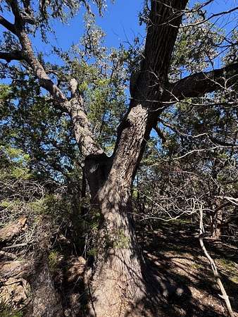 23 Acres of Recreational Land for Sale in Bandera, Texas