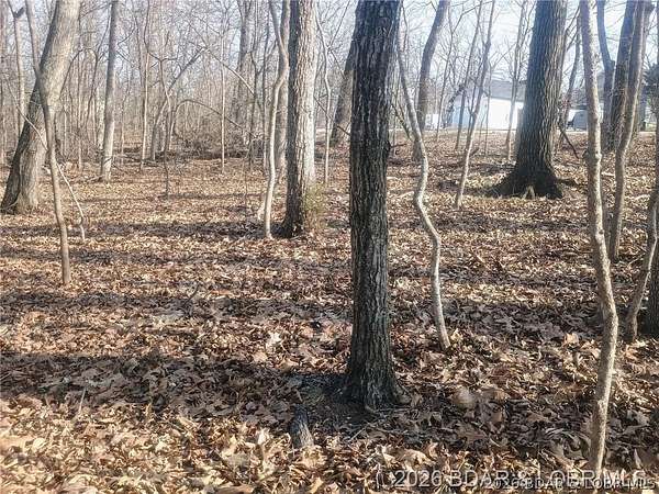 0.2 Acres of Residential Land for Sale in Village of Four Seasons, Missouri