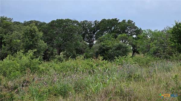 24 Acres of Agricultural Land for Sale in Burnet, Texas