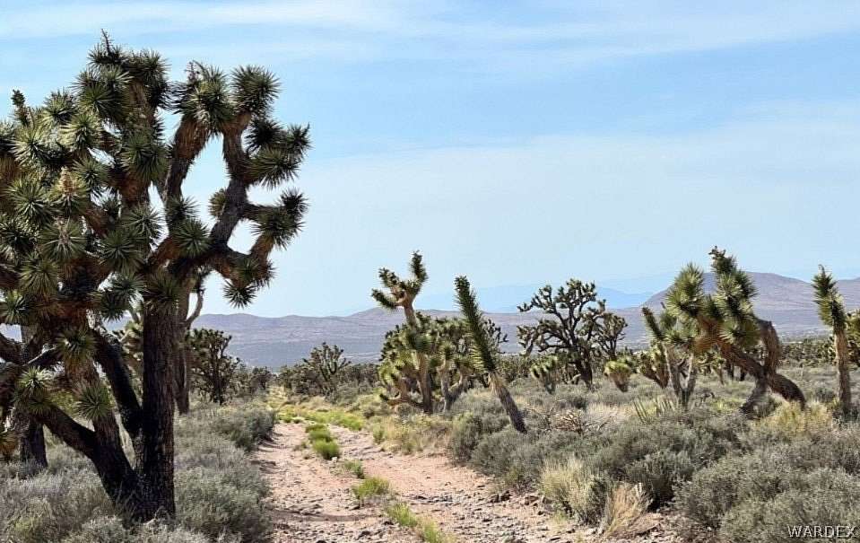 1.25 Acres of Residential Land for Sale in Meadview, Arizona