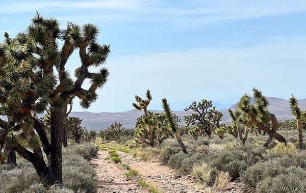 1.25 Acres of Residential Land for Sale in Meadview, Arizona