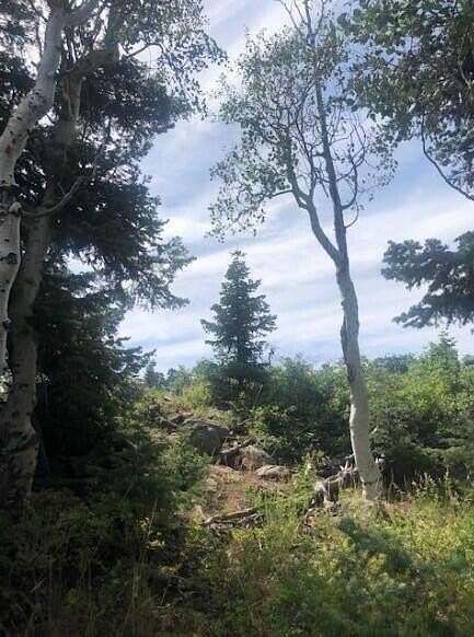 1.29 Acres of Residential Land for Sale in Springdale, Utah