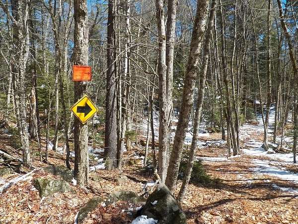 12.8 Acres of Land for Sale in Washington, New Hampshire